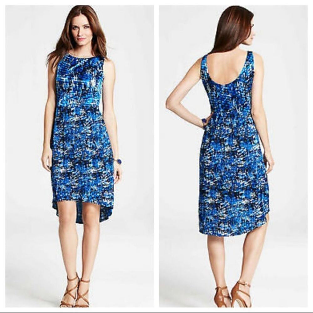 Ann Taylor Petite Filtered Blossoms Pleated Dress Size 6P